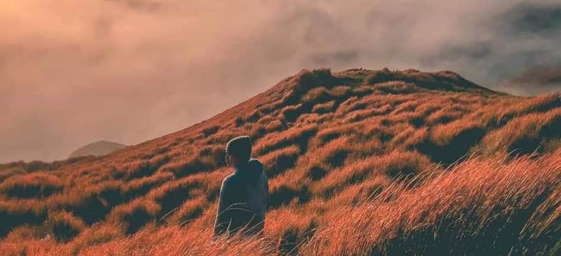 Mt. Pulag via Ambangeg Trail Private Hiking Package from Manila with Homestay, Meals & Guide