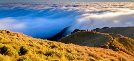 Mt. Pulag Benguet Private Hike via Ambangeg Trail