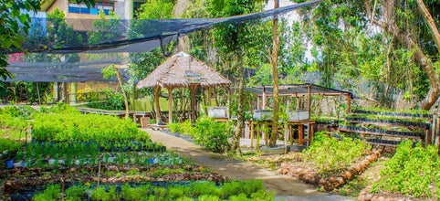 Bohol Bee Farm Resort is a populat hotel and a very relaxing place on Panglao island where they serve delicious meals from organically-grown vegetables on the farm