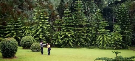 Davao City Eden Nature Park Private Tour