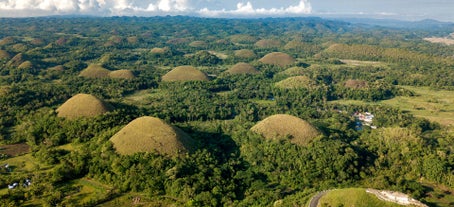 A scenic view of the Chocolate Hills, a highlight of the Bohol Island countryside tour included in this 7-day tour package in the Philippines
