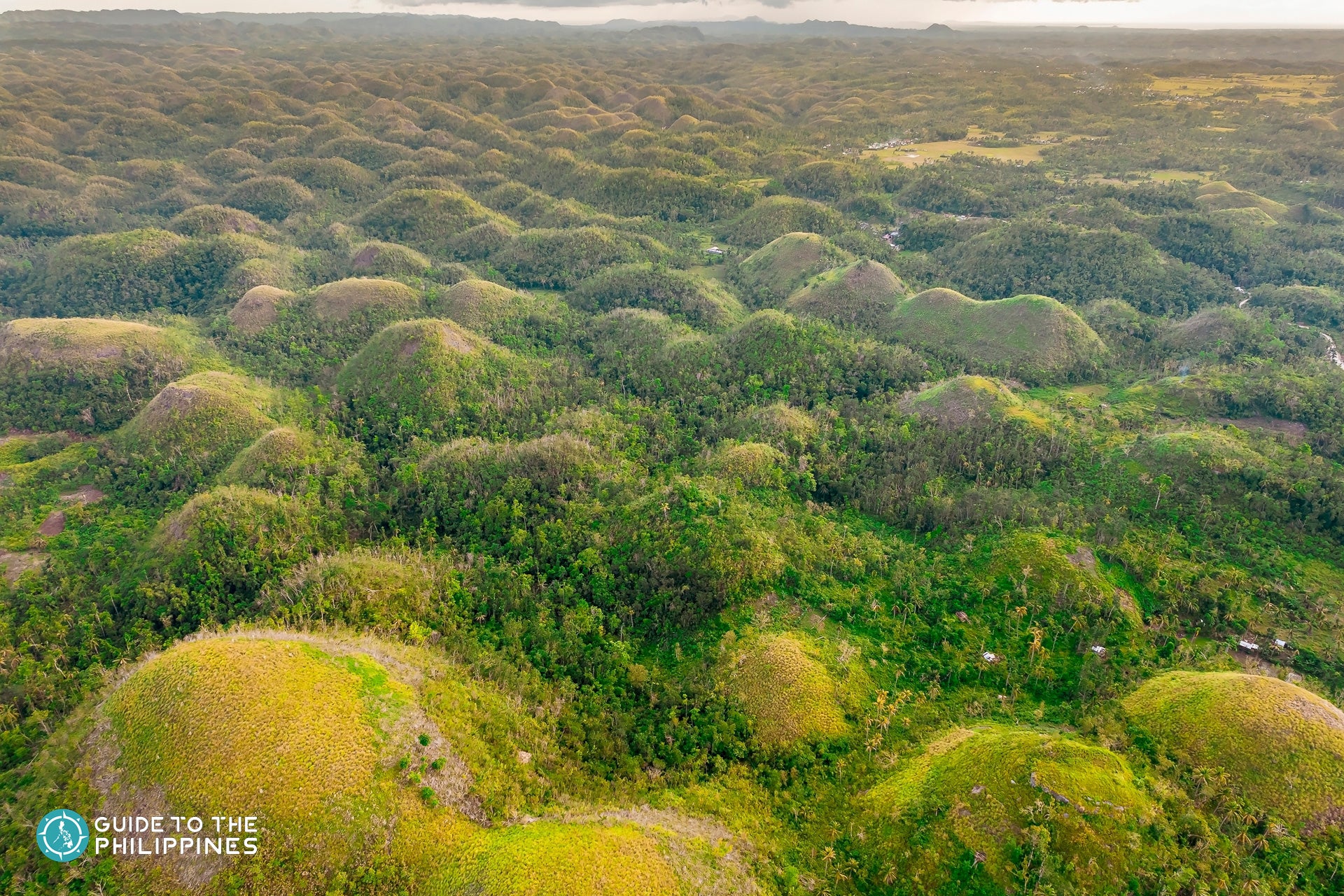 Chocolate Hills