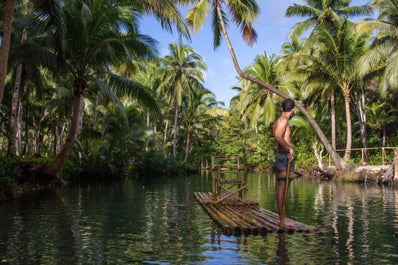 Del Carmen Mangroves in Siargao