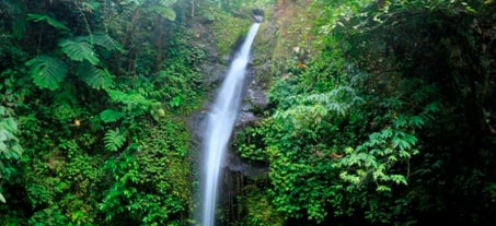 Albay Busay Falls Adventure Private Tour with Lunch