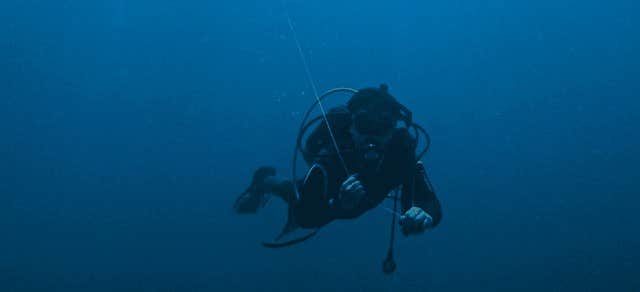 Albay Gulf Fun Dive with Divemaster & Equipment | 2 Dives