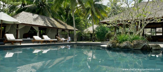 TopBanner_The Farm at San Benito's poolside.jpg