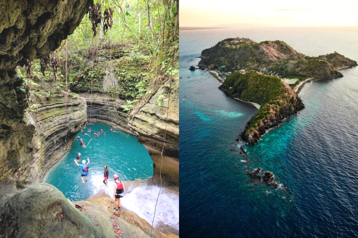 Kawasan Falls and Apo Island