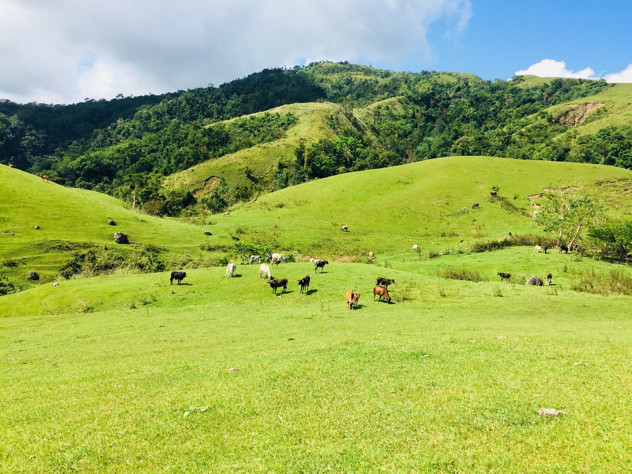 Marinduque Wildlife Sanctuary