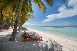 Beachfront of Bohol Beach Club