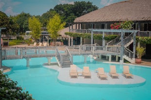 Dip in the outdoor pool of Bluewater Panglao Beach Resort, Bohol