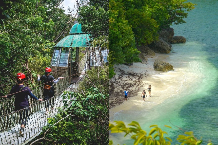 Masungi Georserve and Danjugan Island Masungi Georserve and Danjugan Island