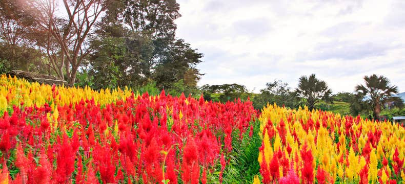 Private Tour of Cebu Island Province’s Historical & Cultural Attractions with Transfers