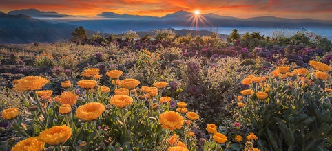 Private Atok Town Flower Farms and Nature Spots Tour in Benguet Province from Baguio City