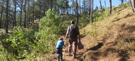 Mount Ulap Private Day Hike in Benguet