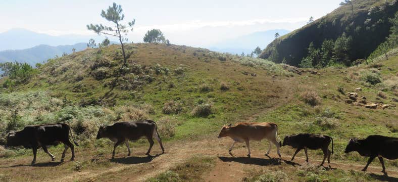 Private Day Hike to Mount Ulap in Benguet Province from Baguio City with Snacks