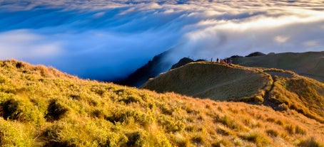 A panoramic view of this hiking tour to Mt. Pulag, showing the steep trails leading to the summit.