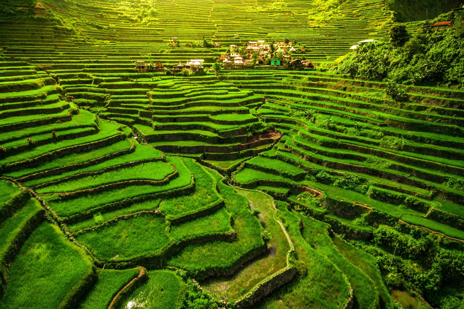 Batad Rice Terraces, Ifugao