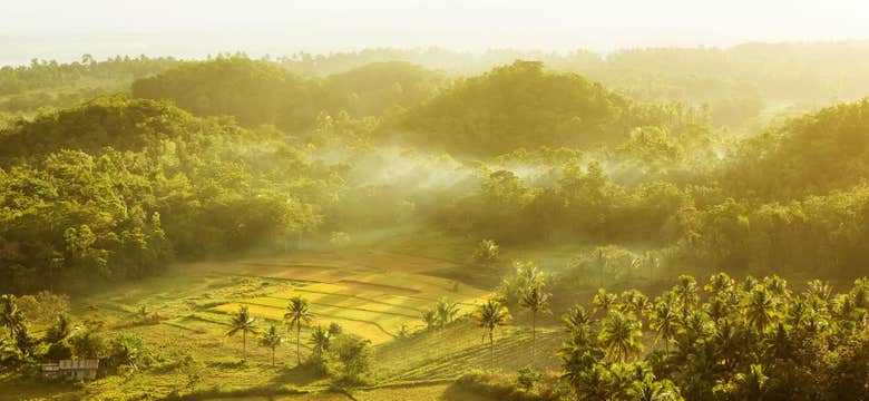 Private Tour to Bohol Island's Chocolate Hills & Tarsier Sanctuary with Loboc River Boat Cruise