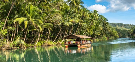 Enjoy a tour from Chocolate Hills to the Loboc River Cruise in Bohol Island Philippines