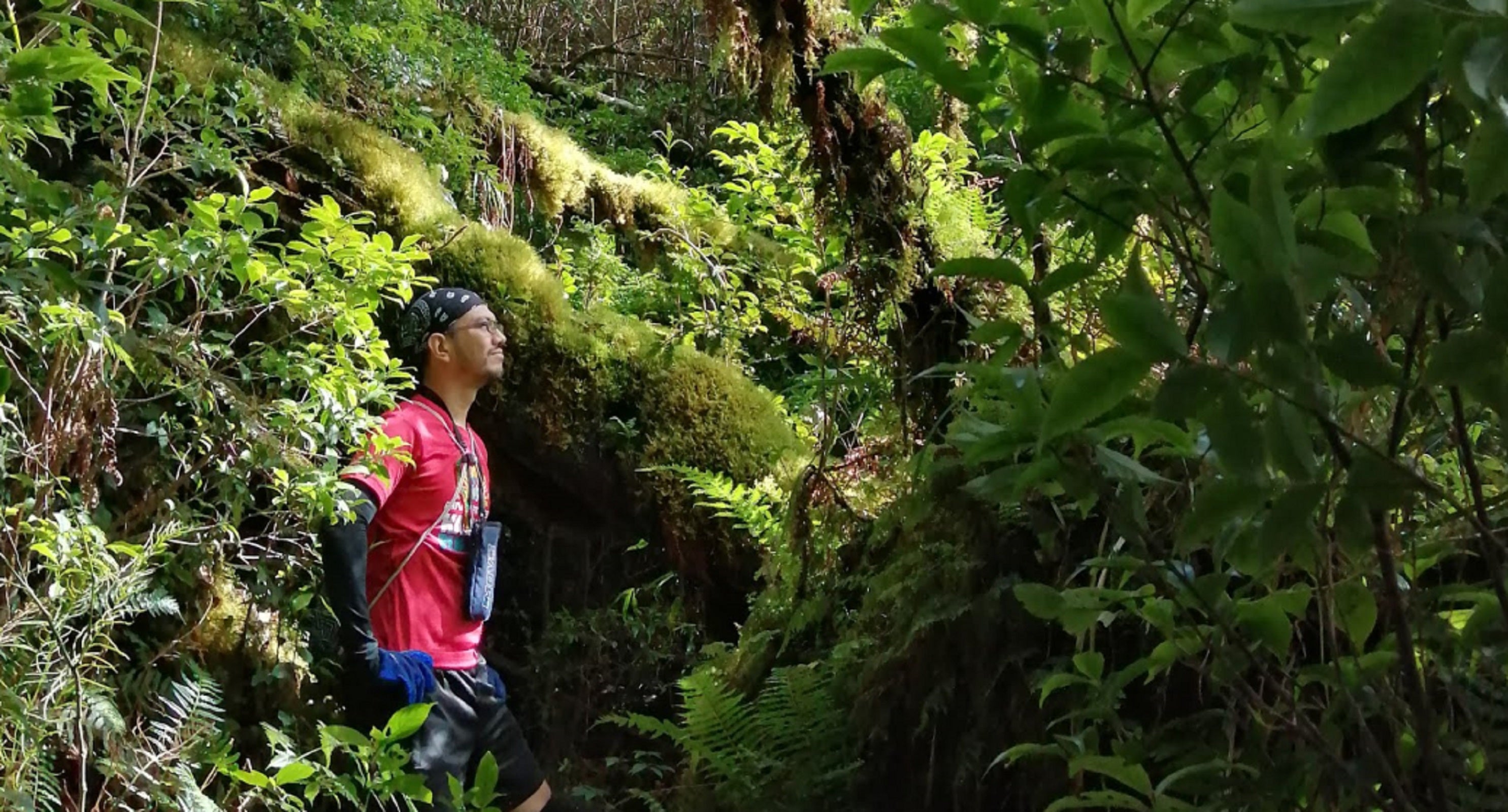 Mountains in Quezon Province
