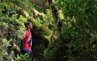 Mountains in Quezon Province