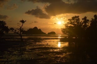 Islas De Gigantes