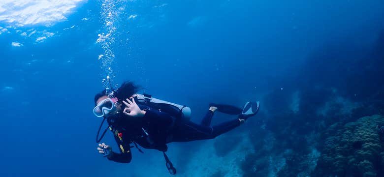Cebu Bantayan Island 2-Hour Fun Dive with Divemaster Assistance, Gear & Boat Transfers