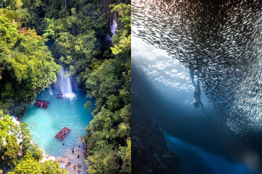 Kawasan Falls and Moalboal Sardine Run Kawasan Falls and Moalboal Sardine Run