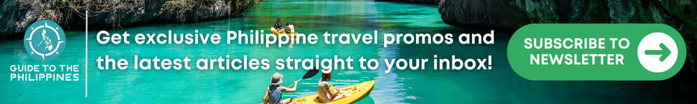 订阅时事通讯横幅