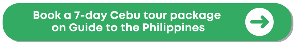 10 Best Bohol Packages to Book: Top Tours, Budget, Resorts, Diving