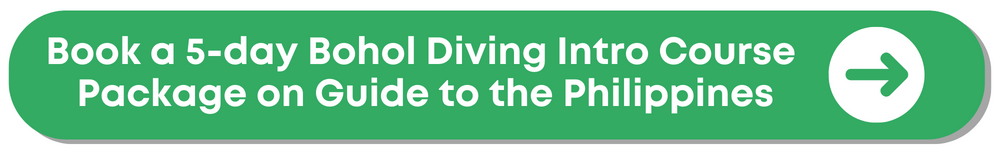 10 Best Bohol Packages to Book: Top Tours, Budget, Resorts, Diving