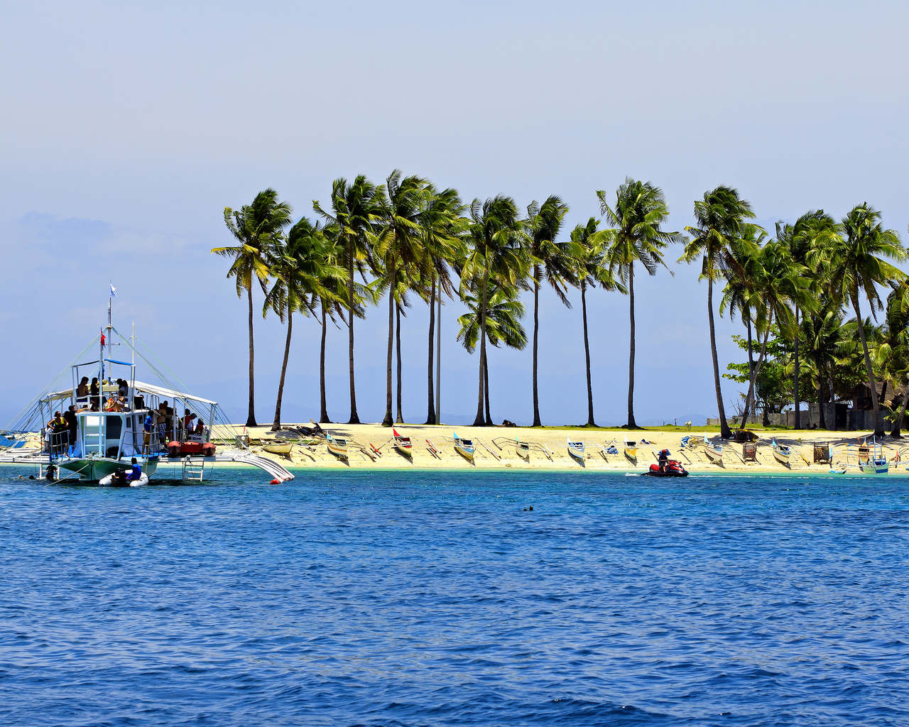 Enjoy breathtaking views of towering palm trees during your scenic Malapascua island hopping tour.
