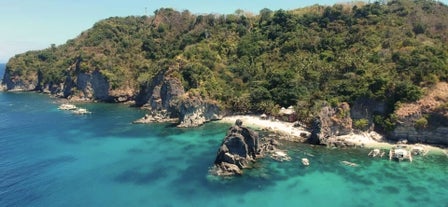 Beach of Apo Island