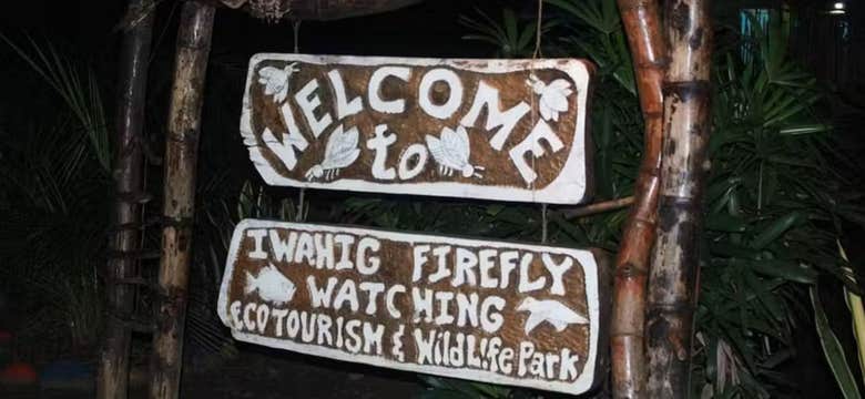 Puerto Princesa City Firefly Watching Tour in Palawan Island