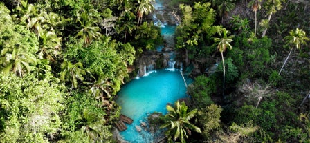 Marvel at the cascading turquoise waters of Cambugahay Falls during your tour on Siquijor Island.