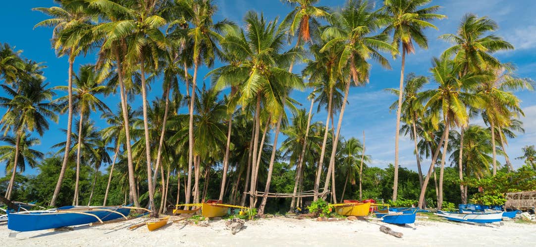 Bask in the serene beauty of Paliton Beach during your tour on Siquijor Island, where soft white sands and crystal-clear waters create the perfect tropical escape.