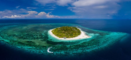 Mantigue Island