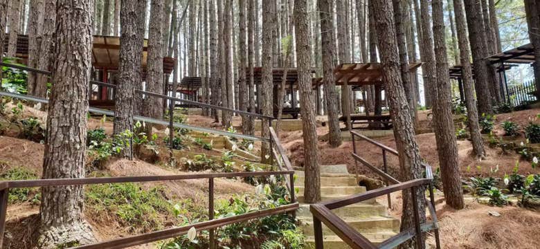 Private Tour to Dahilayan Forest Park & Nature Spots in Bukidnon Province from Cagayan de Oro City