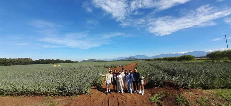 Private Tour to Dahilayan Forest Park & Nature Spots in Bukidnon Province from Cagayan de Oro City