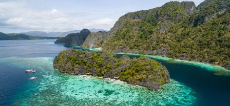 Coral Garden, Palawan