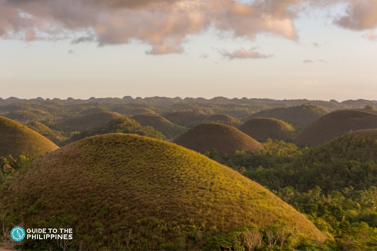 Chocolate Hills