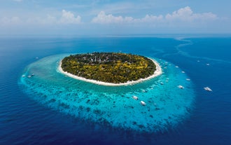 从马尼拉出发的菲律宾 10 日游行程套餐 - 薄荷到宿雾、科隆巴拉望和鲸鲨之旅