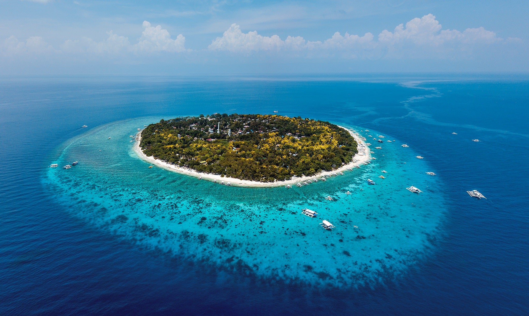 마닐라 출발 10일간 필리핀 보홀에서 세부 일정 및 코론 아일랜드 호핑과 고래상어 투어 패키지