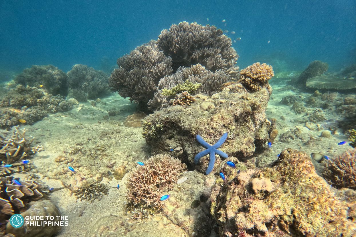 Tulapos Marine Sanctuary