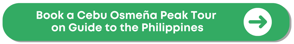 Top 12 Tours and Activities to Try in Cebu: Kawasan Falls, Sardine Run, Island Hopping