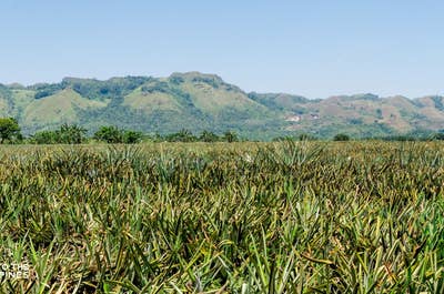 Exciting 1-Week Nature & Adventure Tour Package from Manila City - day 4