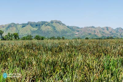 Exciting 1-Week Nature & Adventure Tour Package from Manila City - day 4