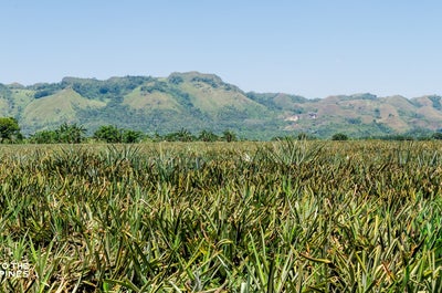 Exciting 1-Week Nature & Adventure Tour Package from Manila City - day 4