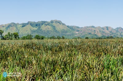 Exciting 1-Week Nature & Adventure Tour Package from Manila City - day 4