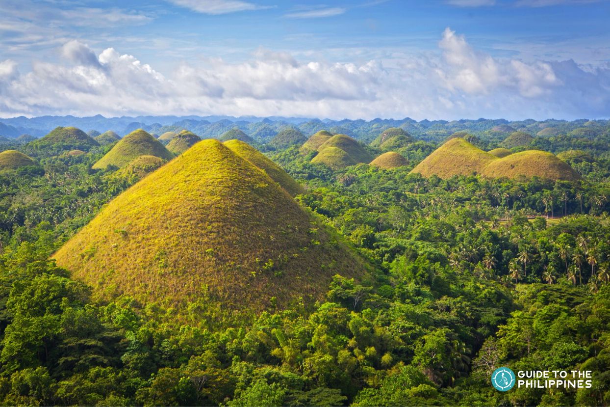 Chocolate Hills